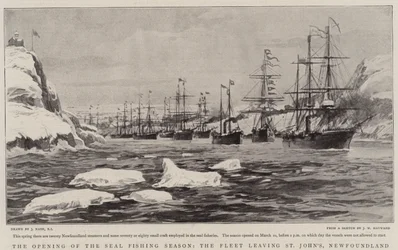 La Apertura de la Temporada de Pesca de Focas, la Flota saliendo de St John